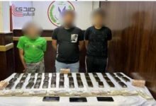 القبض على 3 عاطلين بالبحيرة بحوزتهم 600 طربة حشيش