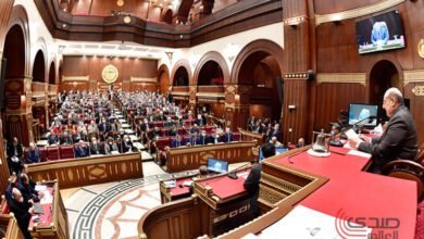 الحكومة لمجلس الشيوخ: نراقب السوق ونحاول ضبط الأسعار