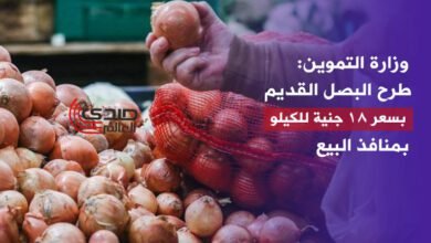 وزارة التموين: طرح البصل القديم بسعر 18 جنيه للكيلو بمنافذ البيع