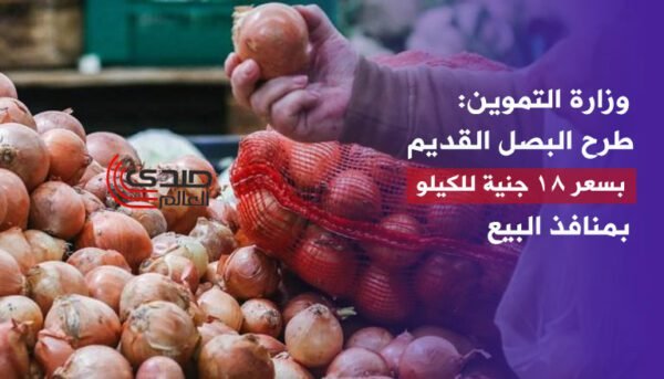 وزارة التموين: طرح البصل القديم بسعر 18 جنيه للكيلو بمنافذ البيع