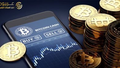 عملة البيتكوين ترتفع بنسبة 7.71% لأول مرة منذ شهر