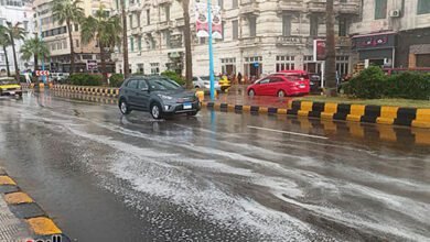 موجة من الصقيع تضرب الاسكندرية واستعدادات لسقوط الأمطار