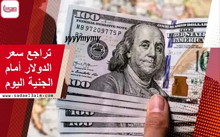 تراجع سعر الدولار أمام الجنيه المصري اليوم في البنوك المصرية