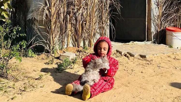 قصة أم فلسطينية تواجه معركة يومية لإبقاء أطفالها على قيد الحياة