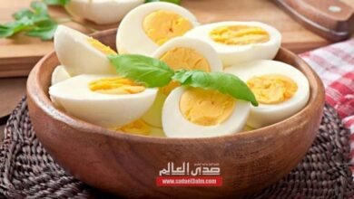 ما هي فوائد البيض للجسم والكمية المسموح بها يوميا؟