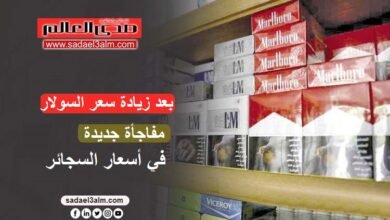 بعد زيادة سعر السولار.. مفاجأة جديدة في أسعار السجائر