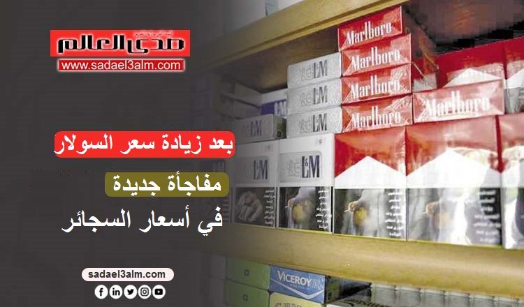 بعد زيادة سعر السولار.. مفاجأة جديدة في أسعار السجائر