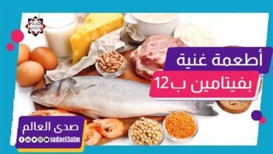 أكثر الأطعمة الغنية بفيتامين ب12 لتحسين صحة الإنسان