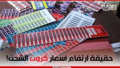 شعبة الاتصالات تكشف حقيقة ارتفاع أسعار كروت الشحن