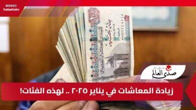 زيادة المعاشات في يناير 2025 لهذه الفئات.. تعرف عليها