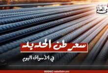 سعر طن الحديد في الأسواق اليوم الثلاثاء 24 ديسمبر 2024