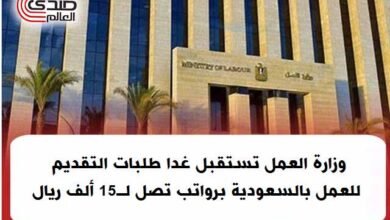 وزارة العمل: فرص عمل برواتب 20 ألف جنيه للمهندسين والمؤهلات المتوسطة