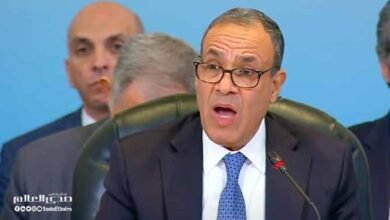 مصر: لدينا استراتيجية لإعمار غزة مع الحفاظ على بقاء الفلسطينيين في أراضيهم