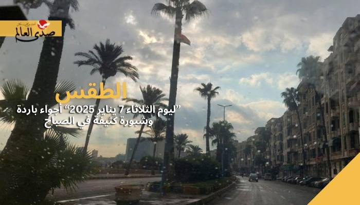 الطقس اليوم الثلاثاء 7 يناير 2025.. أجواء باردة وشبورة كثيفة في الصباح