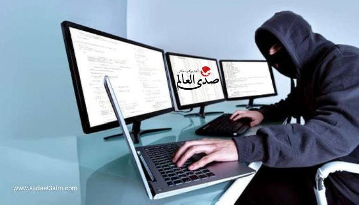 أرقام "مذهلة".. ضحايا جدد للإحتيال الإلكتروني في مصر