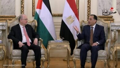 مصر: لدينا استراتيجية شاملة للتعافي السريع وإعادة إعمار غزة