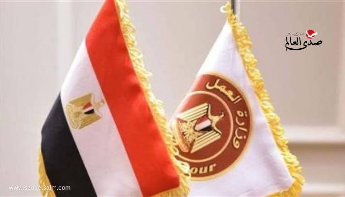 فرص عمل للمصريين في دول الخليج براتب 19 ألف جنيه.. التفاصيل هنا
