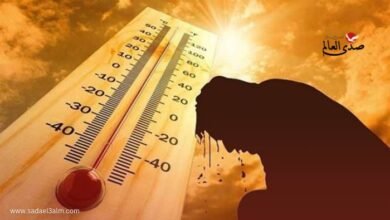 الأرصاد تحذر.. موجة شديدة الحرارة بدءاً من يوم الأحد
