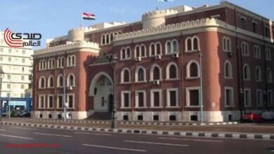 جامعة الإسكندرية توضح حقيقة استقالة 117 طبيبا