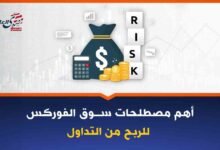 أهم المصطلحات في سوق الفوركس يجب معرفتها للربح من التداول