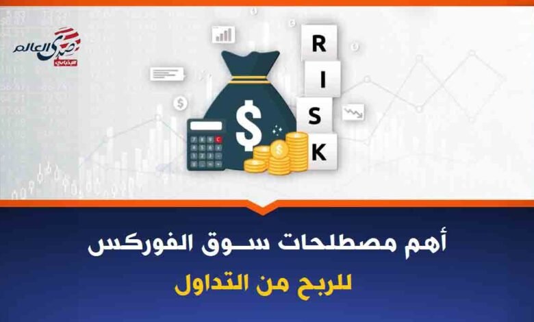 أهم المصطلحات في سوق الفوركس يجب معرفتها للربح من التداول